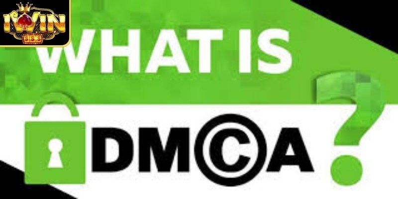 Bản Quyền DMCA 2 Quy trình tiếp nhận dữ liệu